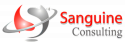 Sanguine Consulting - Professional Development for Educators